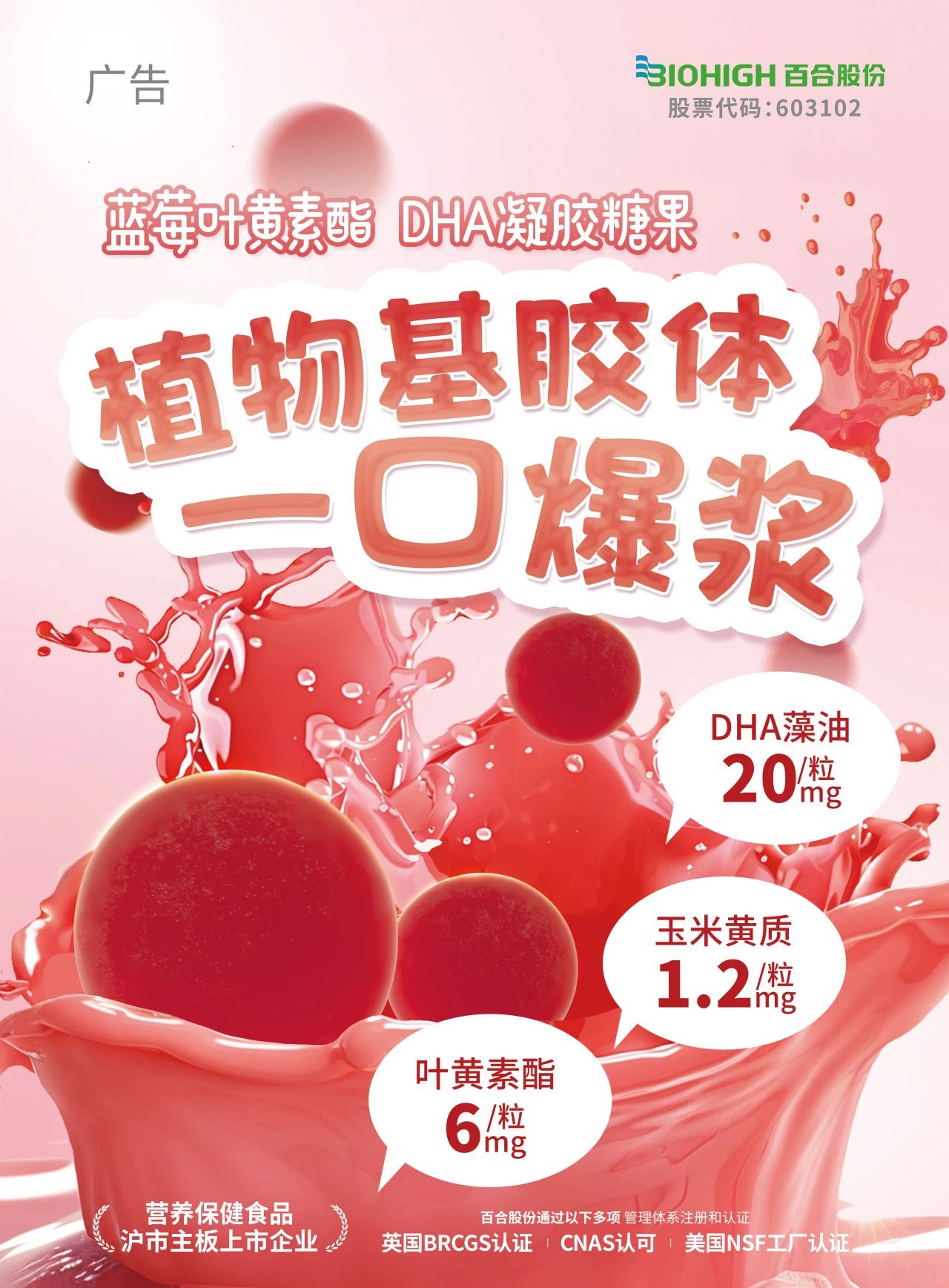 微信圖片_20250212162018.jpg